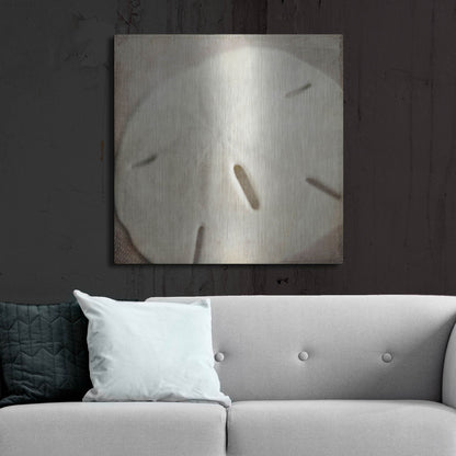 Luxe Metal Art 'Under the Sea 02' by Lightbox Journal, Metal Wall Art,36x36