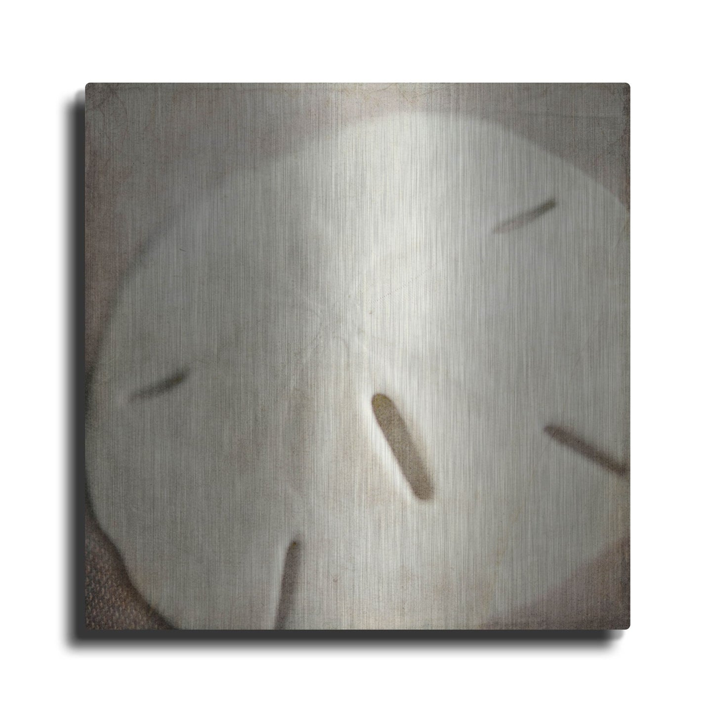 Luxe Metal Art 'Under the Sea 02' by Lightbox Journal, Metal Wall Art