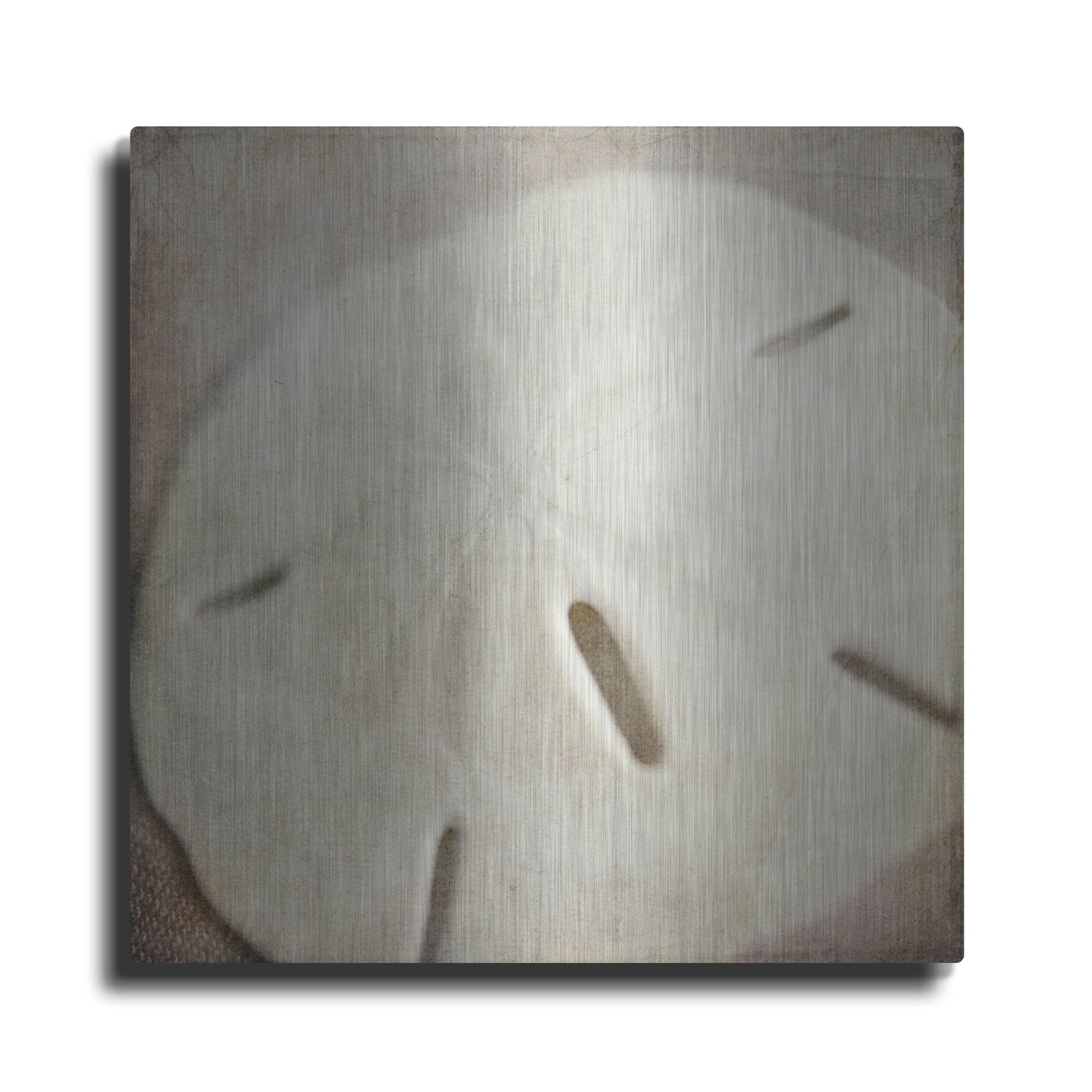 Luxe Metal Art 'Under the Sea 02' by Lightbox Journal, Metal Wall Art