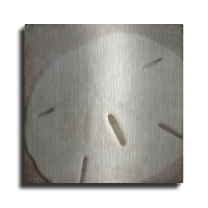 Luxe Metal Art 'Under the Sea 02' by Lightbox Journal, Metal Wall Art