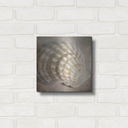 Luxe Metal Art 'Under the Sea 04' by Lightbox Journal, Metal Wall Art,12x12