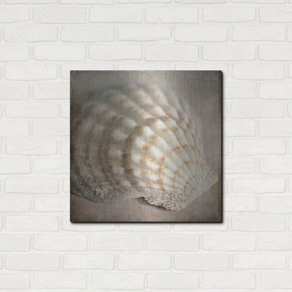 Luxe Metal Art 'Under the Sea 04' by Lightbox Journal, Metal Wall Art,24x24