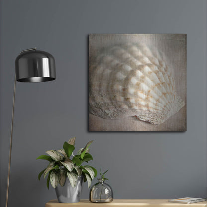 Luxe Metal Art 'Under the Sea 04' by Lightbox Journal, Metal Wall Art,24x24