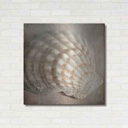 Luxe Metal Art 'Under the Sea 04' by Lightbox Journal, Metal Wall Art,36x36