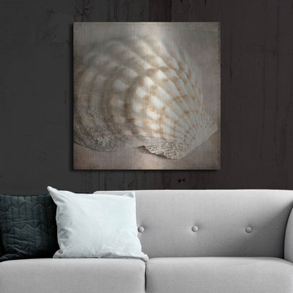 Luxe Metal Art 'Under the Sea 04' by Lightbox Journal, Metal Wall Art,36x36