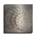 Luxe Metal Art 'Under the Sea 04' by Lightbox Journal, Metal Wall Art