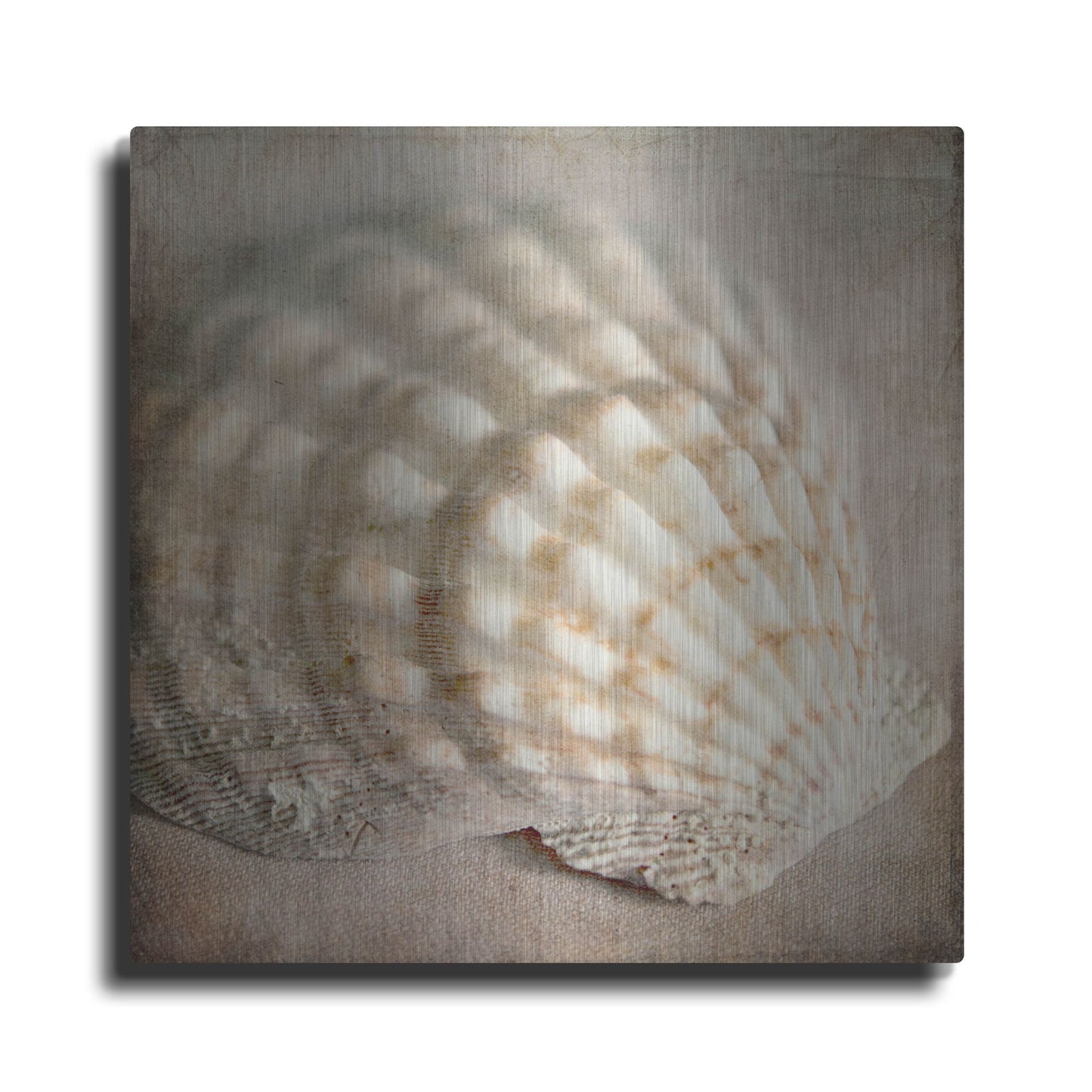Luxe Metal Art 'Under the Sea 04' by Lightbox Journal, Metal Wall Art