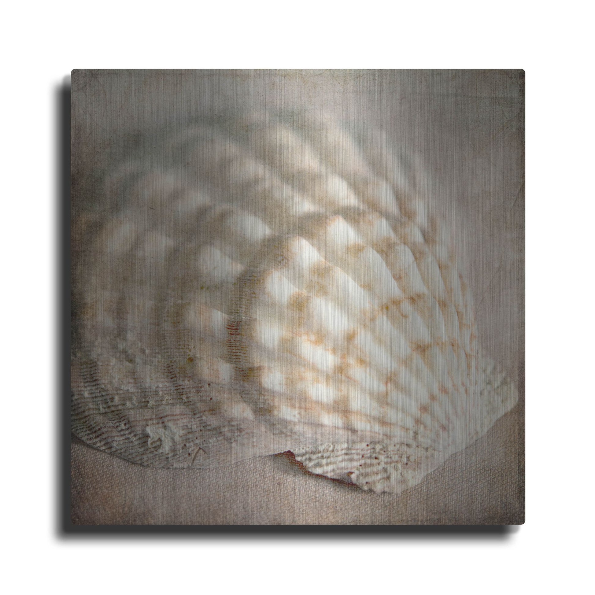 Luxe Metal Art 'Under the Sea 04' by Lightbox Journal, Metal Wall Art