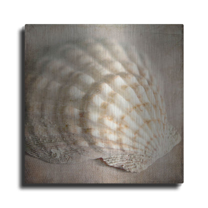 Luxe Metal Art 'Under the Sea 04' by Lightbox Journal, Metal Wall Art