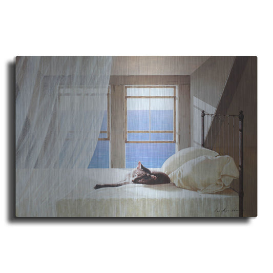 Luxe Metal Art 'Nap Time' by Zhen-Huan Lu, Metal Wall Art