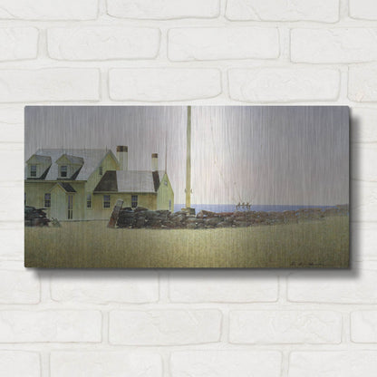 Luxe Metal Art 'Southern Island' by Zhen-Huan Lu, Metal Wall Art,24x12
