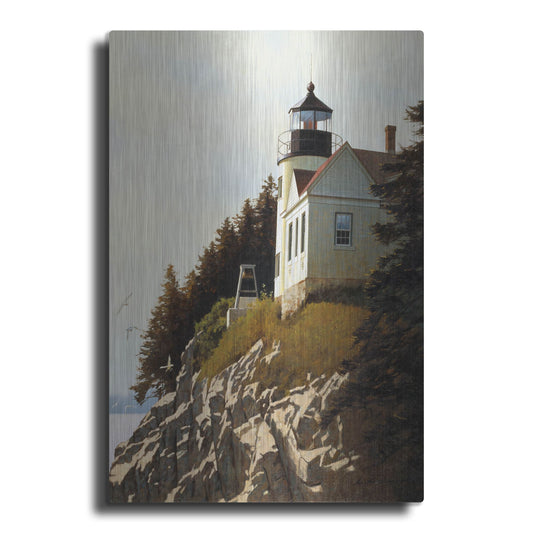 Luxe Metal Art 'Cliff' by Zhen-Huan Lu, Metal Wall Art