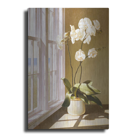 Luxe Metal Art 'Pot Of Orchids' by Zhen-Huan Lu, Metal Wall Art