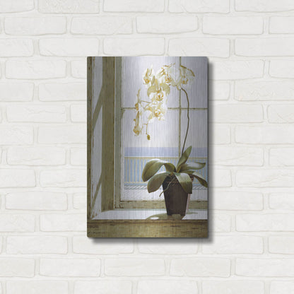 Luxe Metal Art 'Flower In Window' by Zhen-Huan Lu, Metal Wall Art,16x24