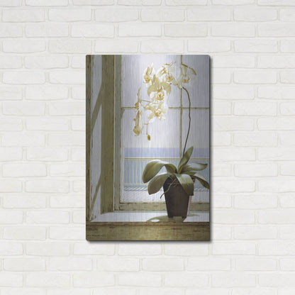 Luxe Metal Art 'Flower In Window' by Zhen-Huan Lu, Metal Wall Art,24x36
