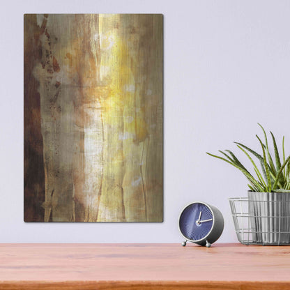 Luxe Metal Art 'Golden Glow I' by Sisa Jasper Metal Wall Art,12x16