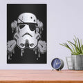 'Pirate Trooper' by Nicklas Gustafsson – Metal Wall Art, 12x16 room view
