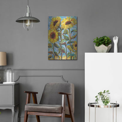 Luxe Metal Art 'Sunny' by St. Hilaire Elizabeth, Metal Wall Art,16x24