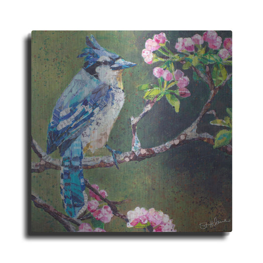 Luxe Metal Art 'Blue Jay on Apple Blossoms' by St. Hilaire Elizabeth, Metal Wall Art