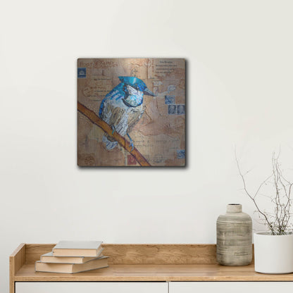 Luxe Metal Art 'Blue Jay US Mail' by St. Hilaire Elizabeth, Metal Wall Art,12x12