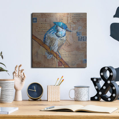 Luxe Metal Art 'Blue Jay US Mail' by St. Hilaire Elizabeth, Metal Wall Art,12x12