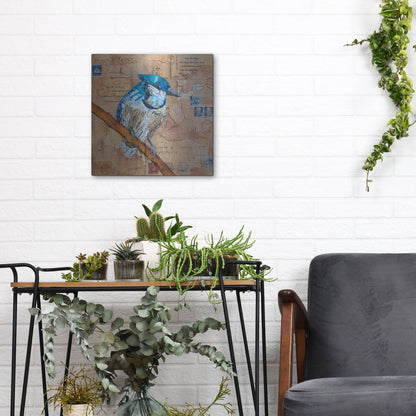 Luxe Metal Art 'Blue Jay US Mail' by St. Hilaire Elizabeth, Metal Wall Art,12x12