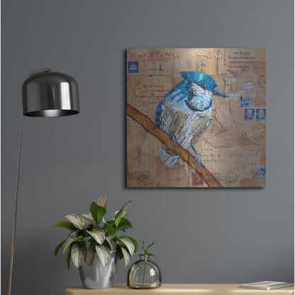 Luxe Metal Art 'Blue Jay US Mail' by St. Hilaire Elizabeth, Metal Wall Art,24x24