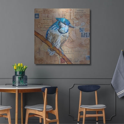 Luxe Metal Art 'Blue Jay US Mail' by St. Hilaire Elizabeth, Metal Wall Art,36x36