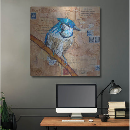 Luxe Metal Art 'Blue Jay US Mail' by St. Hilaire Elizabeth, Metal Wall Art,36x36