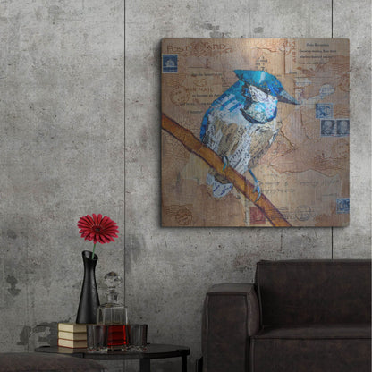 Luxe Metal Art 'Blue Jay US Mail' by St. Hilaire Elizabeth, Metal Wall Art,36x36