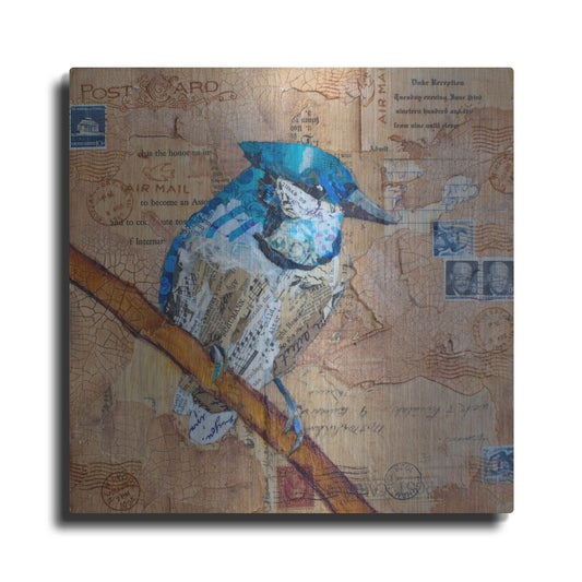 Luxe Metal Art 'Blue Jay US Mail' by St. Hilaire Elizabeth, Metal Wall Art