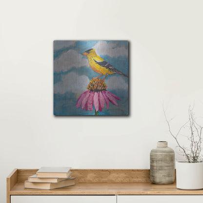 Luxe Metal Art 'Blue Sky Finch' by St. Hilaire Elizabeth, Metal Wall Art,12x12