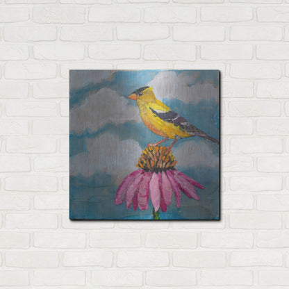 Luxe Metal Art 'Blue Sky Finch' by St. Hilaire Elizabeth, Metal Wall Art,24x24