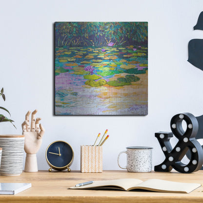 Luxe Metal Art 'Lily Pad Pond' by St. Hilaire Elizabeth, Metal Wall Art,12x12