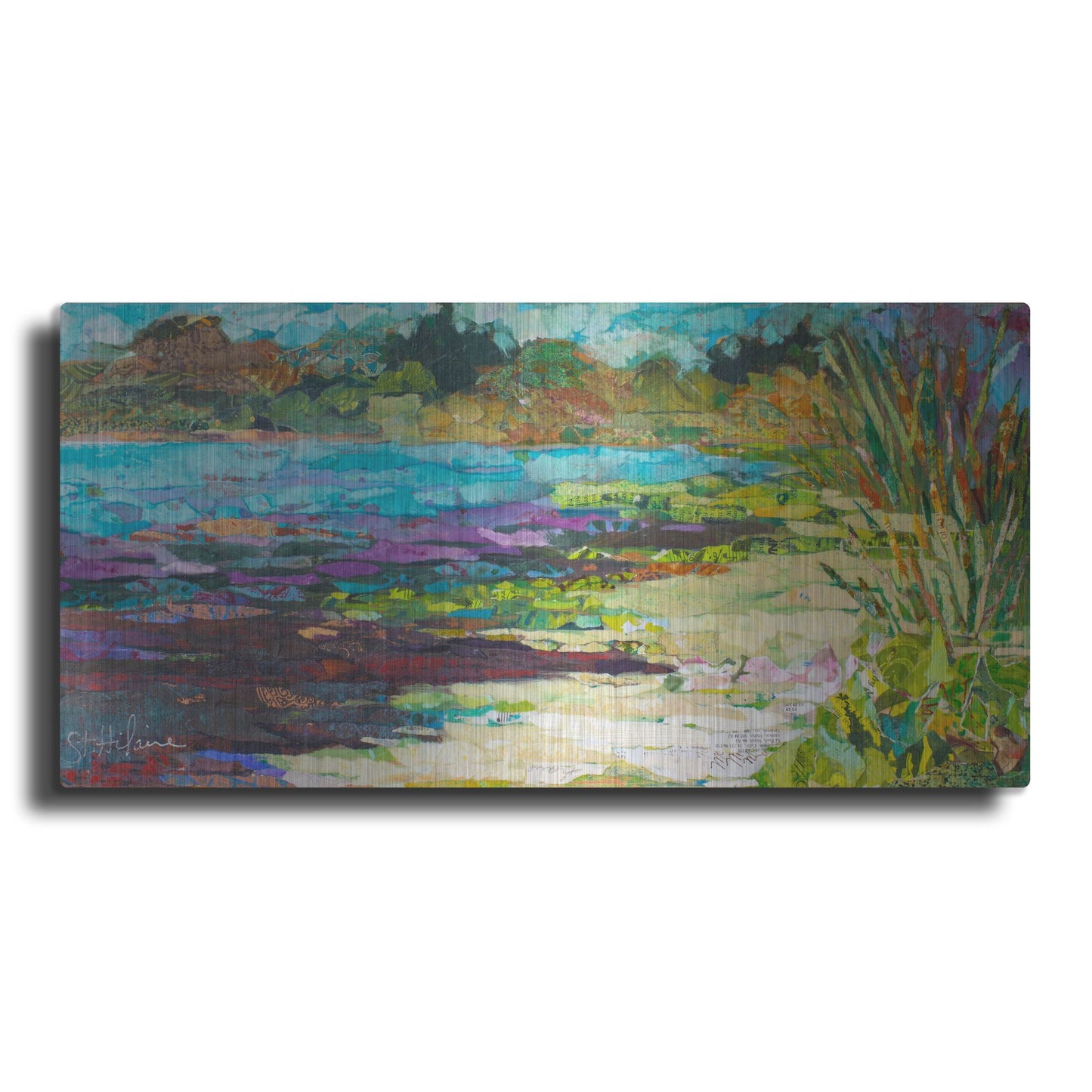 Luxe Metal Art 'Wekiva Sand Lake' by St. Hilaire Elizabeth, Metal Wall Art,24x12