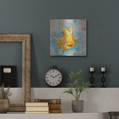 Luxe Metal Art 'Cow Fish' by St. Hilaire Elizabeth, Metal Wall Art,12x12