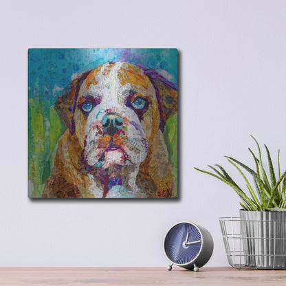 Luxe Metal Art 'Bull Dog' by St. Hilaire Elizabeth, Metal Wall Art,12x12