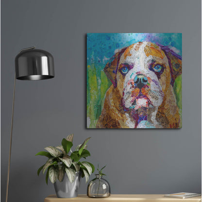 Luxe Metal Art 'Bull Dog' by St. Hilaire Elizabeth, Metal Wall Art,24x24