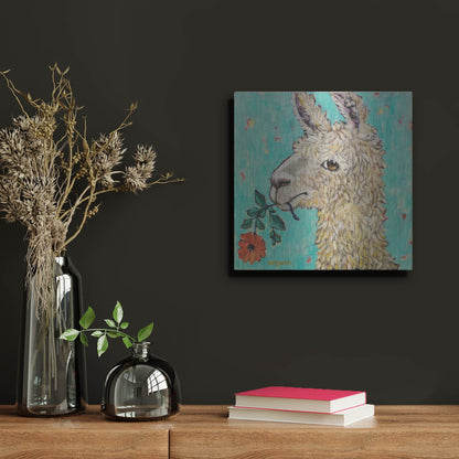 Luxe Metal Art 'Flower Eating Llama' by Holly Wojhan, Metal Wall Art,12x12