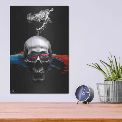 Luxe Metal Art 'Death Logic' by Loui Jover, Metal Wall Art,12x16