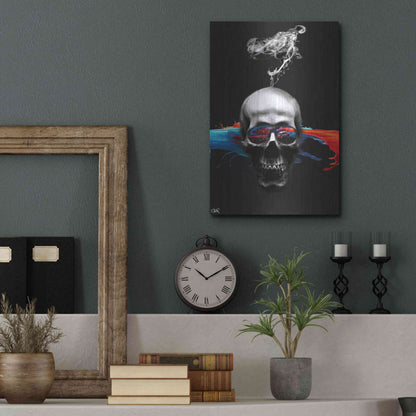 Luxe Metal Art 'Death Logic' by Loui Jover, Metal Wall Art,12x16