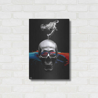 Luxe Metal Art 'Death Logic' by Loui Jover, Metal Wall Art,16x24