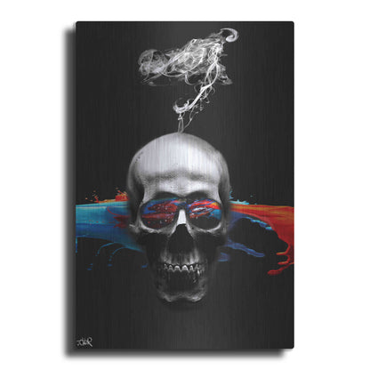 Luxe Metal Art 'Death Logic' by Loui Jover, Metal Wall Art