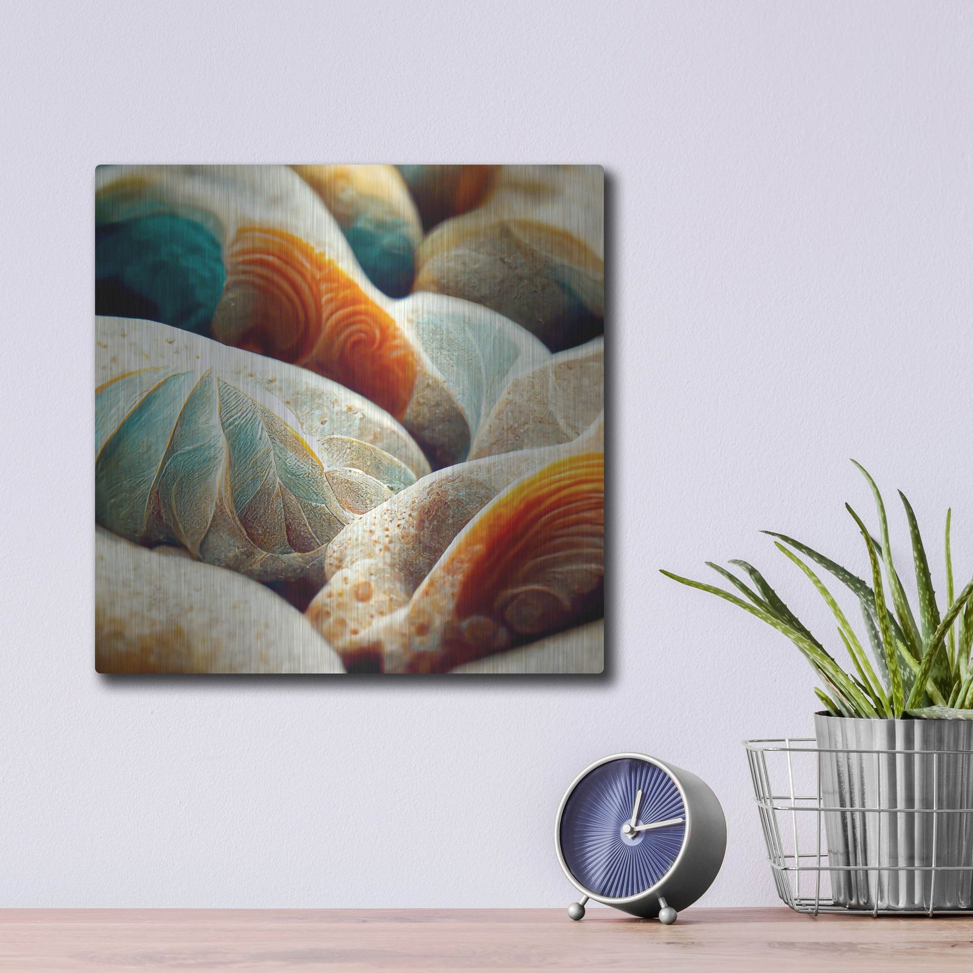 Luxe Metal Art 'Space Sea Shells' by Luxe Portfolio, Metal Wall Art,12x12