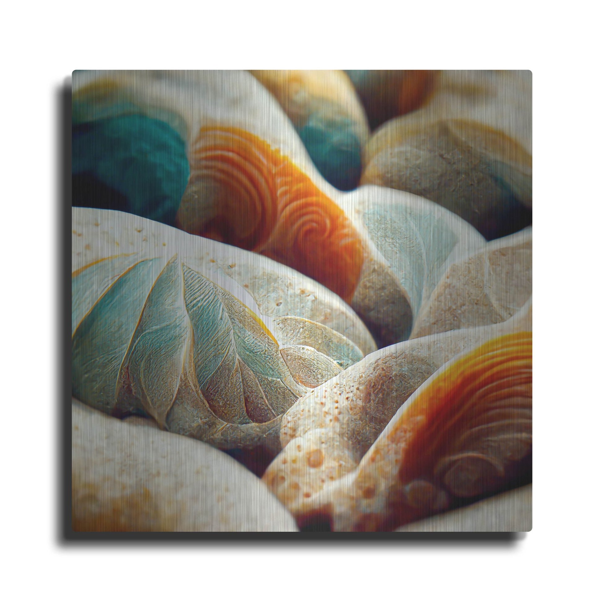 Luxe Metal Art 'Space Sea Shells' by Luxe Portfolio, Metal Wall Art