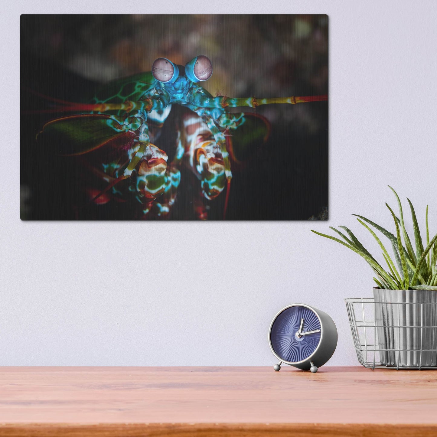 Luxe Metal Art 'Peacock Mantis Shrimp' by Luxe Portfolio, Metal Wall Art,16x12
