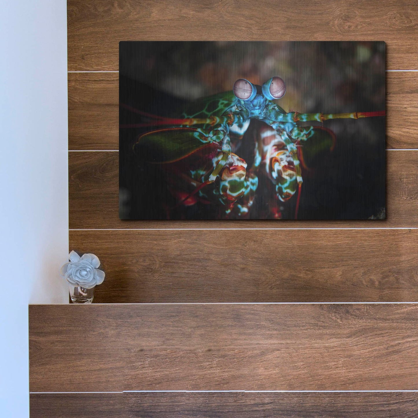 Luxe Metal Art 'Peacock Mantis Shrimp' by Luxe Portfolio, Metal Wall Art,16x12