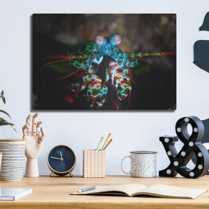 Luxe Metal Art 'Peacock Mantis Shrimp' by Luxe Portfolio, Metal Wall Art,16x12