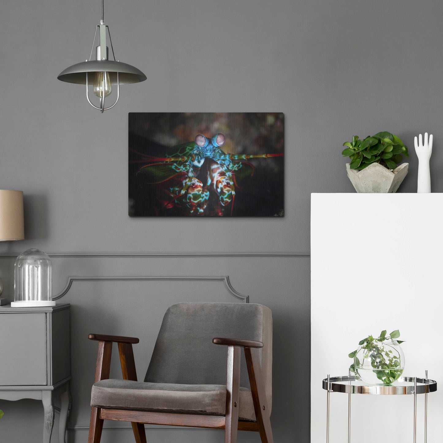 Luxe Metal Art 'Peacock Mantis Shrimp' by Luxe Portfolio, Metal Wall Art,24x16