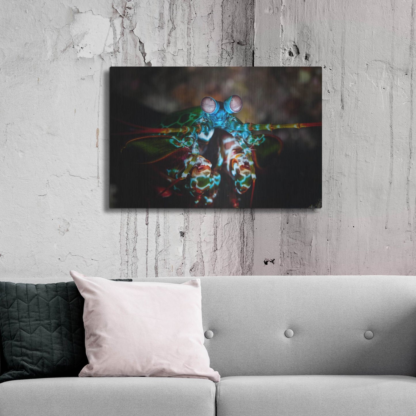 Luxe Metal Art 'Peacock Mantis Shrimp' by Luxe Portfolio, Metal Wall Art,36x24